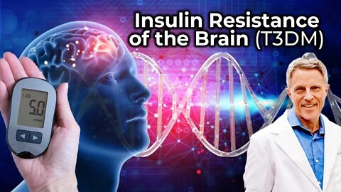 Insulin Resistance of the Brain (T3DM) and Our New Webinar Pilot