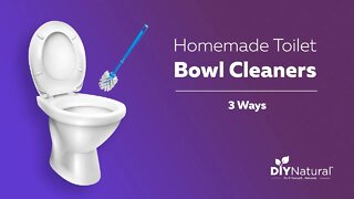 3 Homemade Toilet Bowl Cleaner Recipes | DIY Natural