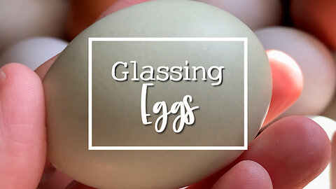 Have an abundance of eggs? Try water glassing them!