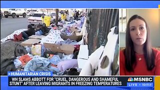 MSNBC Guest Thinks Bussing Illegals To Kamala’s House Is Disgusting