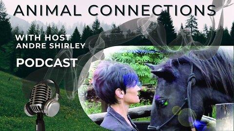 Animal Connections S1E6 Discernment
