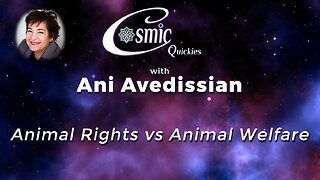 Animal Rights vs Animal Welfare