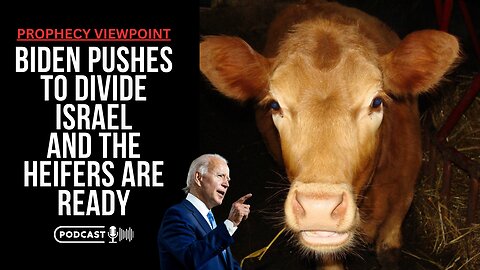 Biden Pushes To Divide And The Heifers Are Ready