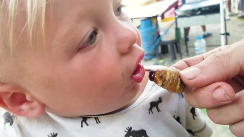 Nagual Eats the Worm!?!?:Cute Baby Hates Eating Giant Palm Maggot.