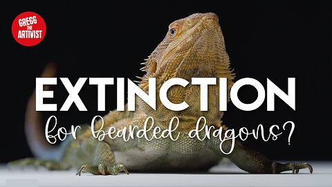 Is This the Scary End for Bearded Dragons | Climate Change 2023