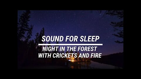 Sound for sleep Night in the Forest with Crickets and Fire 3 hours