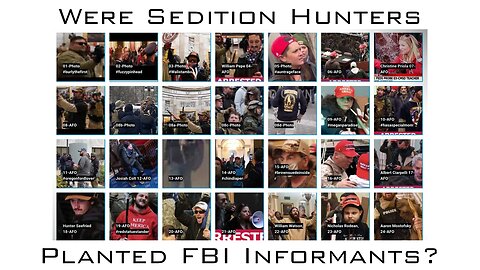 Were Sedition Hunters Planted FBI Informants?