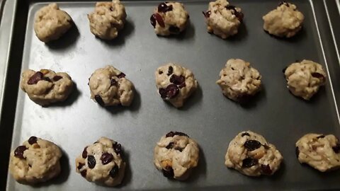 Making Vegan Cranberry-Raisin Cookies With Stevia =)