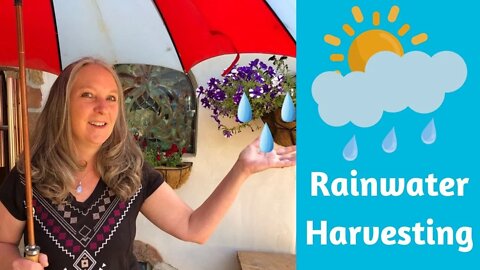 RAINWATER HARVESTING ~ A Tour of Our Home’s System