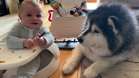 Adorable Baby Boy Shares Food With His Dog! (So Cute!!)