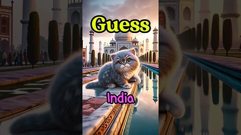 【CAT STORY】 GUESS Where is the Taj Mahal located?