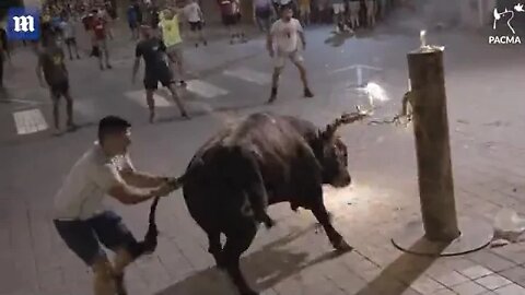 Spaniards attach flaming torches to bull's horns at Spanish festival