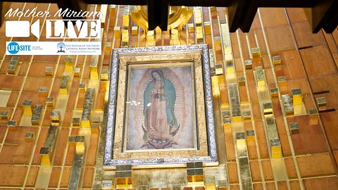 Difficult moments call for prayers to Our Lady of Guadalupe