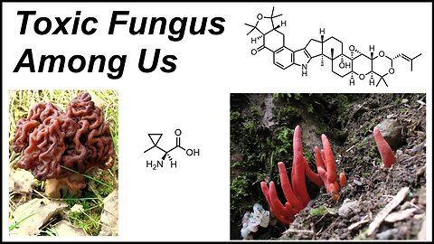 The Science of Fungal Toxins