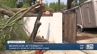 Valley cleans up after massive monsoon storms