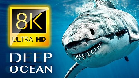 THE DEEP OCEAN | 8K TV ULTRA HD / Full Documentary