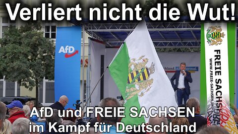 Verliert nicht die Wut: Freie Sachsen und AfD – tödliche Globalisten-Demokratie entlarvt