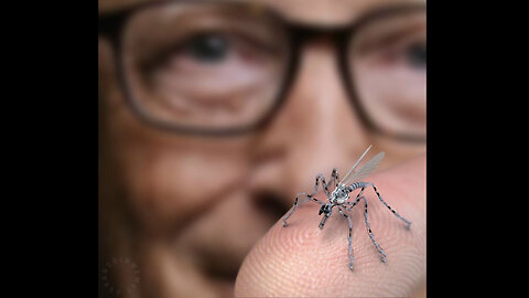Gates Foundation Is Working On Engineering Flying Vaccines via Mosquitoes