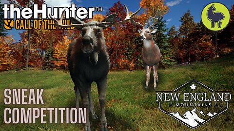 Sneak Competition, New England Mountains | theHunter: Call of the Wild PS5