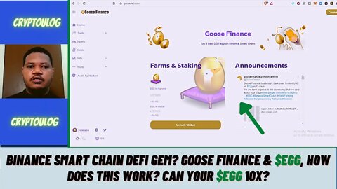 Binance Smart Chain DEFI Gem? Goose Finance & $EGG, How Does This Work? Can Your $EGG 10X?