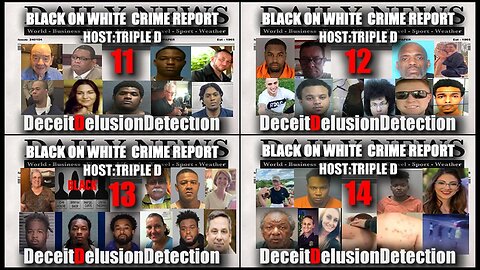 Black on White Crime Report Marathon 11, 12, 13 ,14 - Deceit Delusion Detection