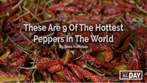 Top 9 Hottest Peppers In The World