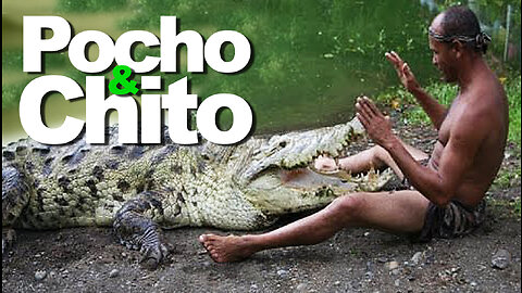 Pocho e Chito a amizade entre um homem e um crocodilo | JV Jornalismo Verdade