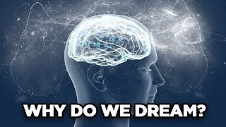 10 Unsolved Mysteries Of The Brain