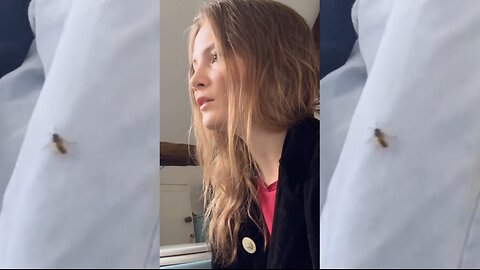 Freya Allan's Incredible Singing Cover: Watch Her Unforgettable Encounter with a Wasp!