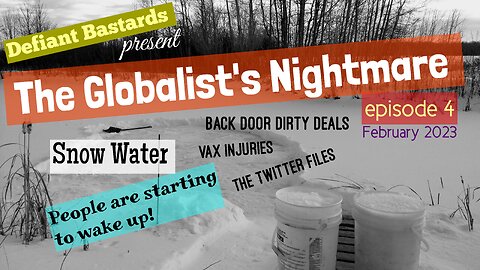 The Globalist's Nightmare Episode #4