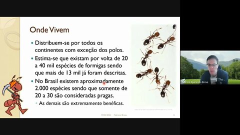 10 - Colônias de Formigas - Computação Inspirada pela Natureza (versão Meet)