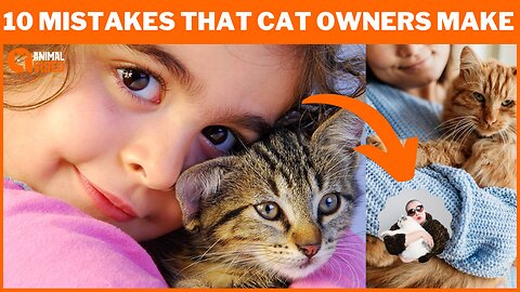 10 Most Dangerous Mistakes Cat Owners Make - Avoid These and Keep Your Feline Safe! | Animal Vised