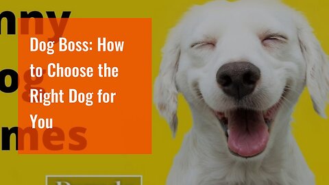 Dog Boss: How to Choose the Right Dog for You