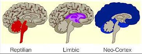 THE HISTORY OF OUR REPTILIAN DNA, REPTILIAN BRAIN, AND PREVALENCE/DOMINANCE IN THE HUMAN SPECIES!