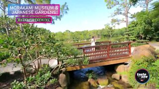 Explore Florida's Best Japanese Garden | Taste and See Tampa Bay