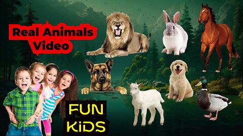 Aniamls Video 2023| Funny animal video Kids Fun #video #viral #animal #funnyanimal #kids #funnyvideo