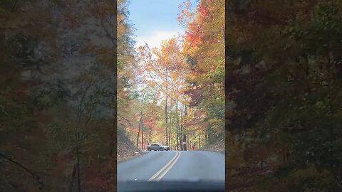 The Great Smoky Mountains Fall Colors 🧡🧡🧡 #smokies #fallcolor #autumn