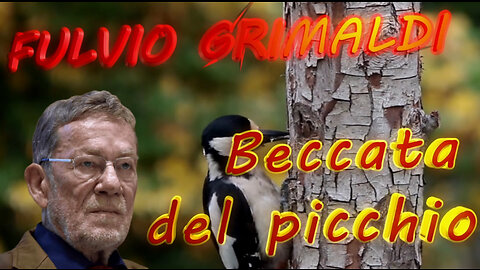 “BECCATA DEL PICCHIO” - 7° puntata