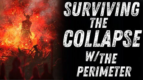 Surviving the Collapse W/ The Perimeter
