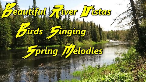 Beautiful River Vistas with Multiple Birds Singing their Spring Melodies