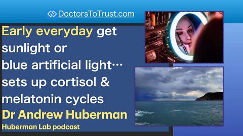 ANDREW HUBERMAN 4 | Early daily get sunlight or blue artificial light…sets cortisol/melatonin cycles
