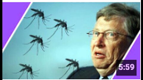 Bill Gates RELEASES 1 BILLION Genetically Modified Mosquitos In Florida