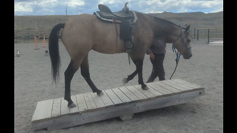 Triscuit's First Time Through Obstacles_SagebrushTraining_2023Labor Day Weekend