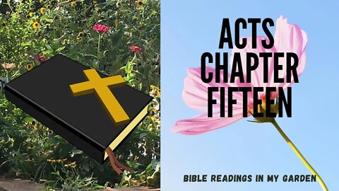ACTS Chapter 15 | NRSV Bible