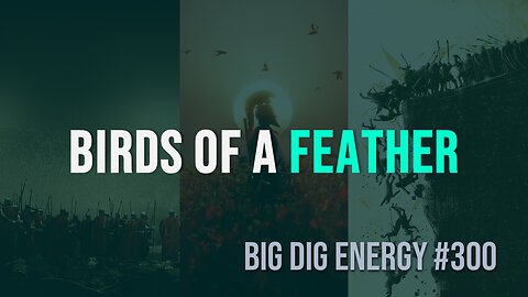Big Dig Energy 300: Birds of a Feather