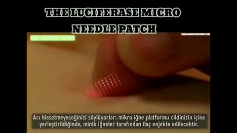 The Luciferase Micro Needle Patch (Mirrored)