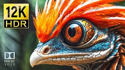 Incredible animals Beauty of 12K HDR Dolby Vision 240fps / 8K TV