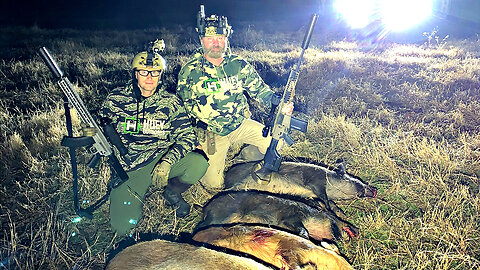 Hunting Hogs with Lone Star Boars