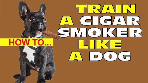 How To Train A Cigar Smoker Like A Dog