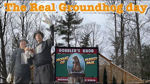 The Real Groundhog Day 5K: A Fun and Festive Race Experience!